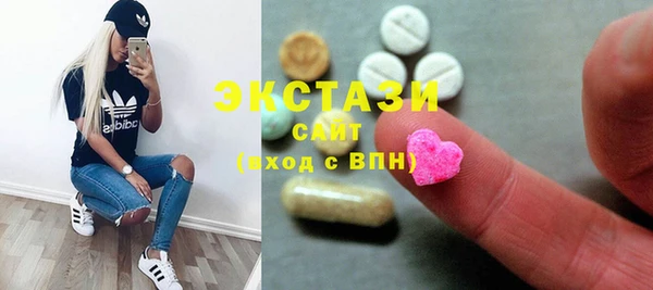 стаф Алзамай