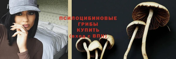винт Армянск
