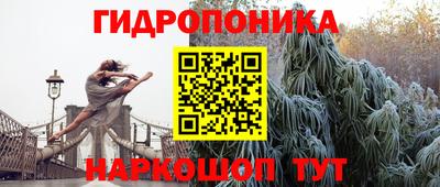 прущие грибы Ликино-Дулёво