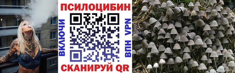 Псилоцибиновые грибы Psilocybine cubensis  Чернушка 