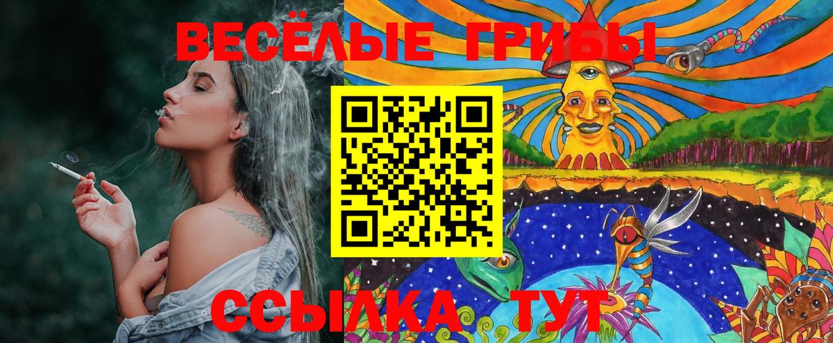 Чернушка  Галлюциногенные грибы Cubensis  Вход с VPN 