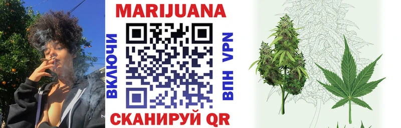 Бошки Шишки тримм Чернушка